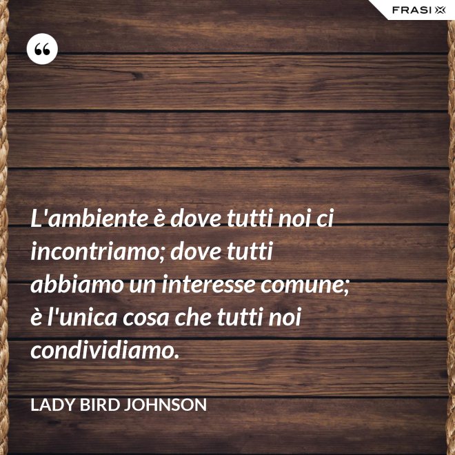 L'ambiente è dove tutti noi ci incontriamo; dove tutti abbiamo un interesse comune; è l'unica cosa che tutti noi condividiamo. - Lady Bird Johnson