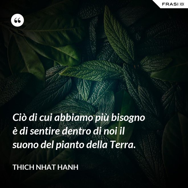 Ciò di cui abbiamo più bisogno è di sentire dentro di noi il suono del pianto della Terra. - Thich Nhat Hanh