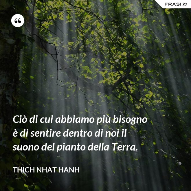 Ciò di cui abbiamo più bisogno è di sentire dentro di noi il suono del pianto della Terra. - Thich Nhat Hanh