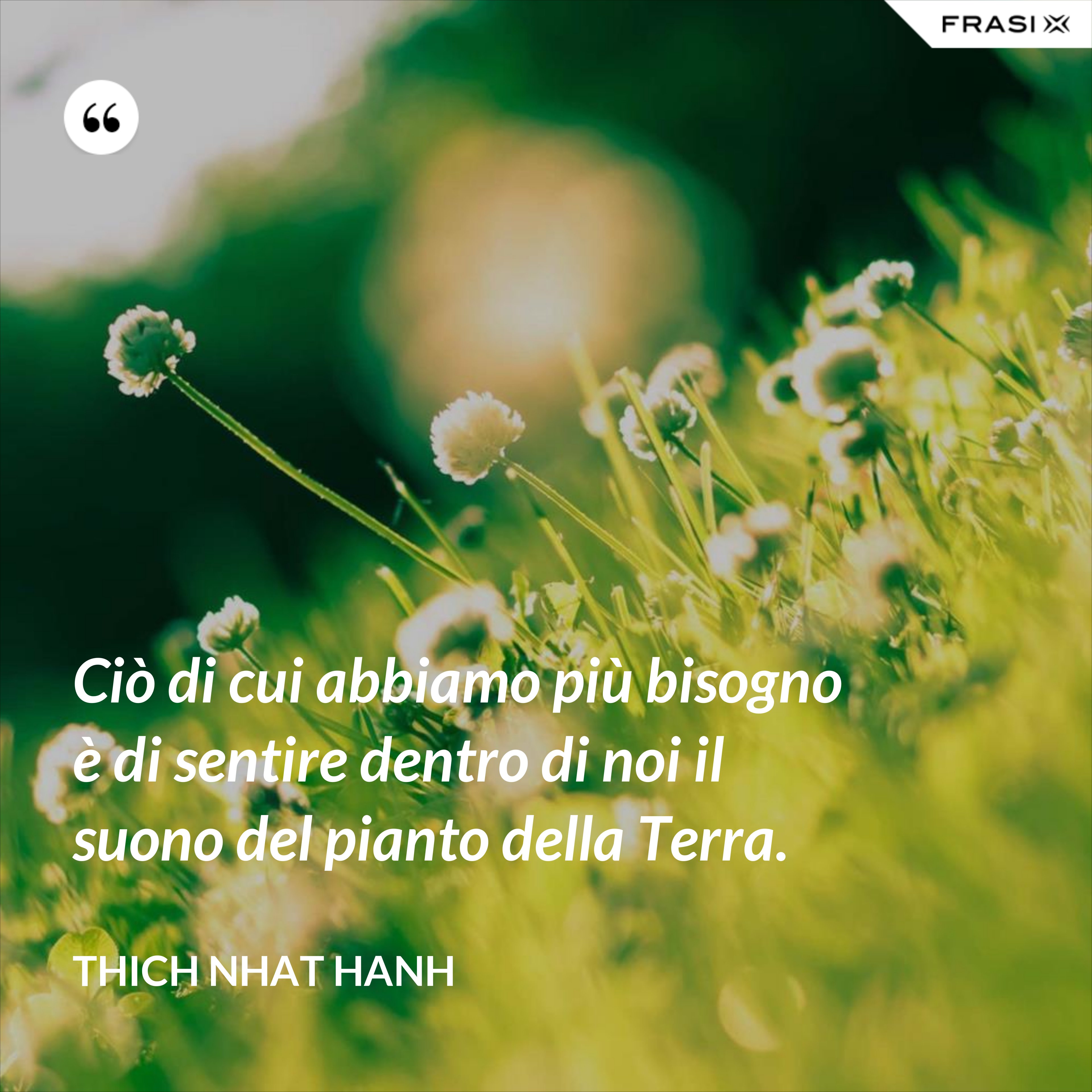 Ciò di cui abbiamo più bisogno è di sentire dentro di noi il suono del pianto della Terra. - Thich Nhat Hanh