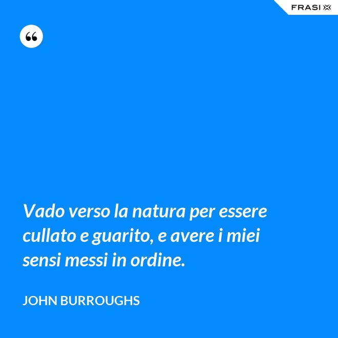 Vado verso la natura per essere cullato e guarito, e avere i miei sensi messi in ordine. - John Burroughs