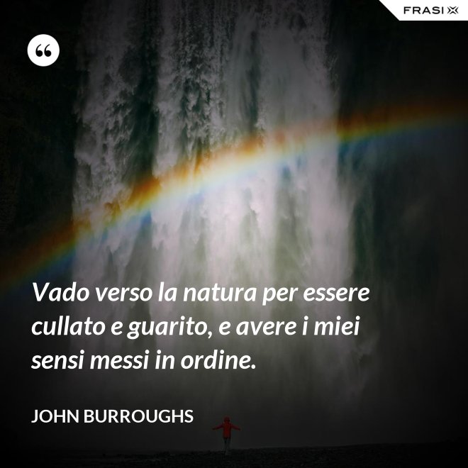 Vado verso la natura per essere cullato e guarito, e avere i miei sensi messi in ordine. - John Burroughs