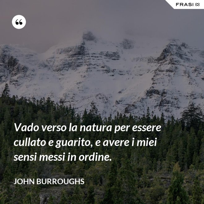 Vado verso la natura per essere cullato e guarito, e avere i miei sensi messi in ordine. - John Burroughs