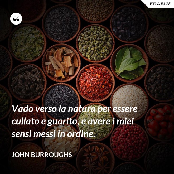 Vado verso la natura per essere cullato e guarito, e avere i miei sensi messi in ordine. - John Burroughs
