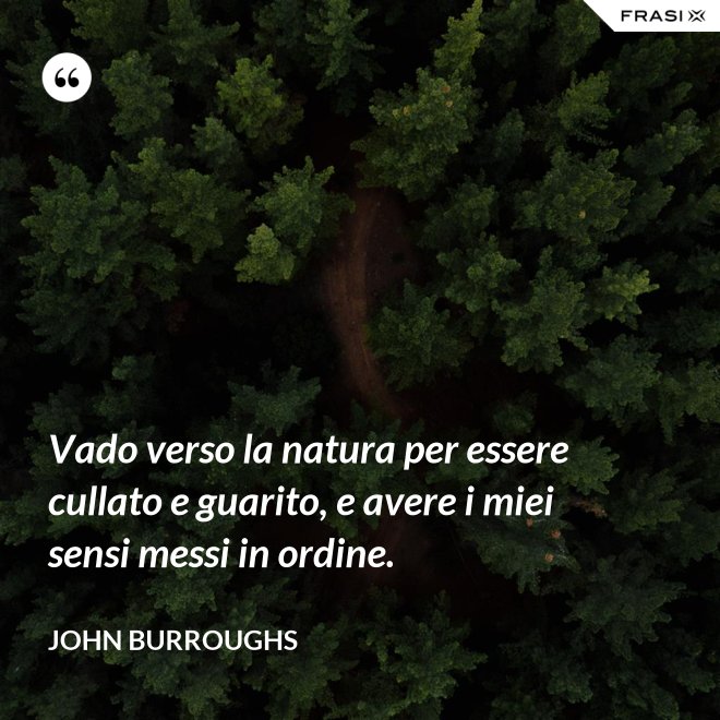 Vado verso la natura per essere cullato e guarito, e avere i miei sensi messi in ordine. - John Burroughs