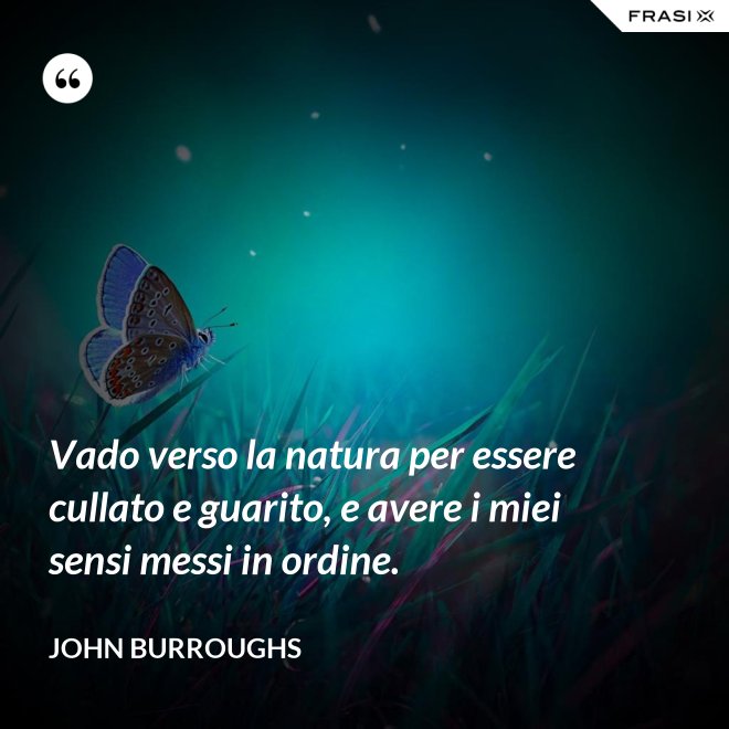 Vado verso la natura per essere cullato e guarito, e avere i miei sensi messi in ordine. - John Burroughs