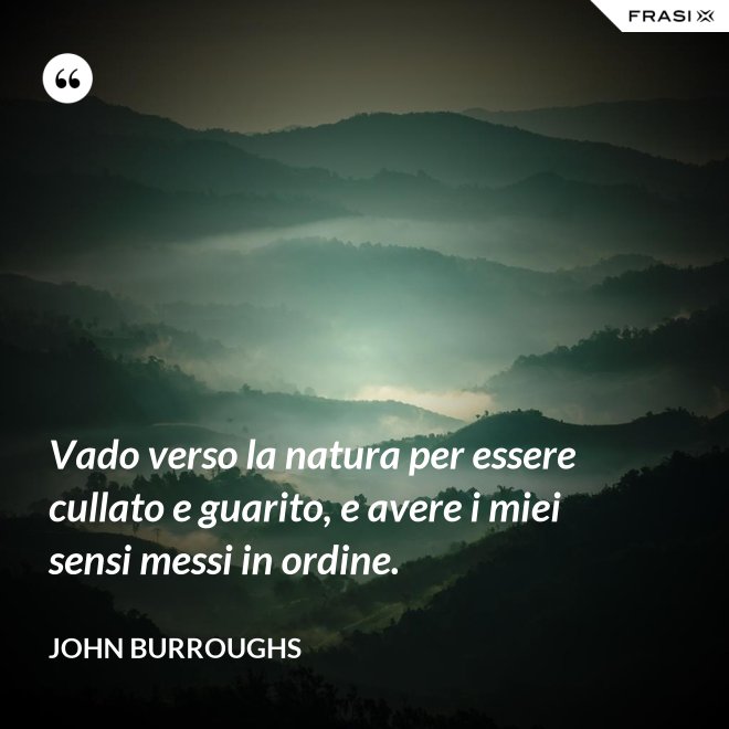 Vado verso la natura per essere cullato e guarito, e avere i miei sensi messi in ordine. - John Burroughs