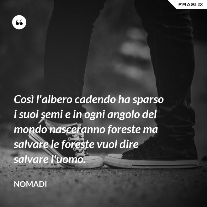 Così l'albero cadendo ha sparso i suoi semi e in ogni angolo del mondo nasceranno foreste ma salvare le foreste vuol dire salvare l'uomo. - Nomadi
