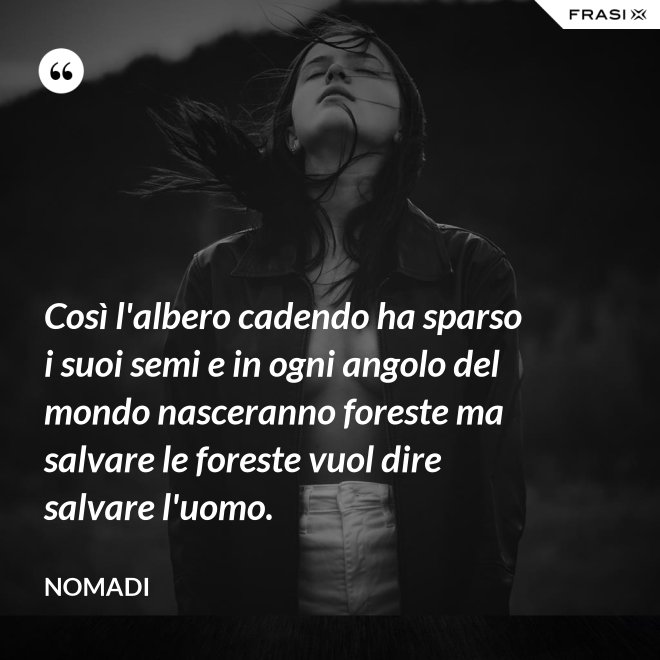 Così l'albero cadendo ha sparso i suoi semi e in ogni angolo del mondo nasceranno foreste ma salvare le foreste vuol dire salvare l'uomo. - Nomadi
