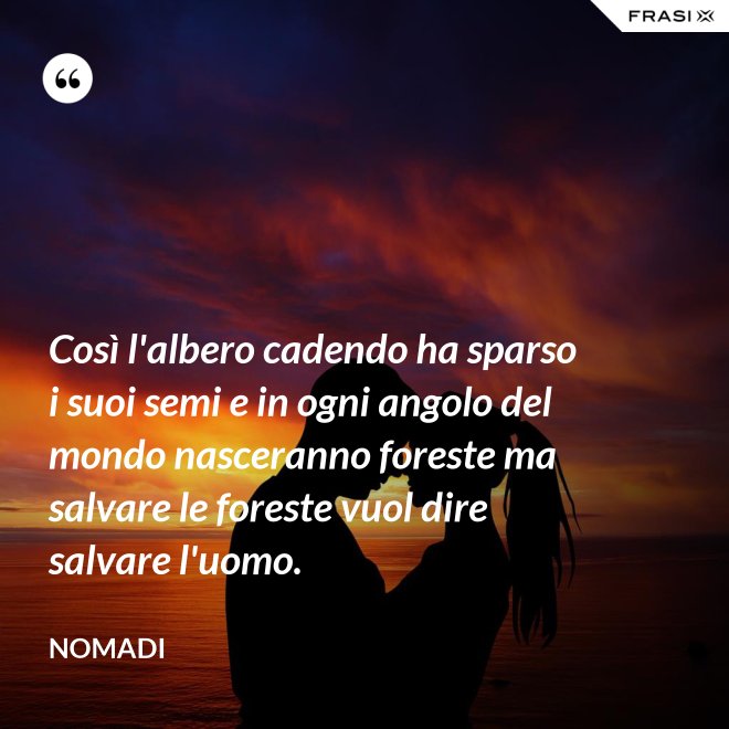 Così l'albero cadendo ha sparso i suoi semi e in ogni angolo del mondo nasceranno foreste ma salvare le foreste vuol dire salvare l'uomo. - Nomadi