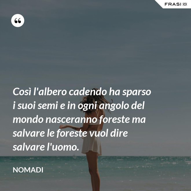 Così l'albero cadendo ha sparso i suoi semi e in ogni angolo del mondo nasceranno foreste ma salvare le foreste vuol dire salvare l'uomo. - Nomadi