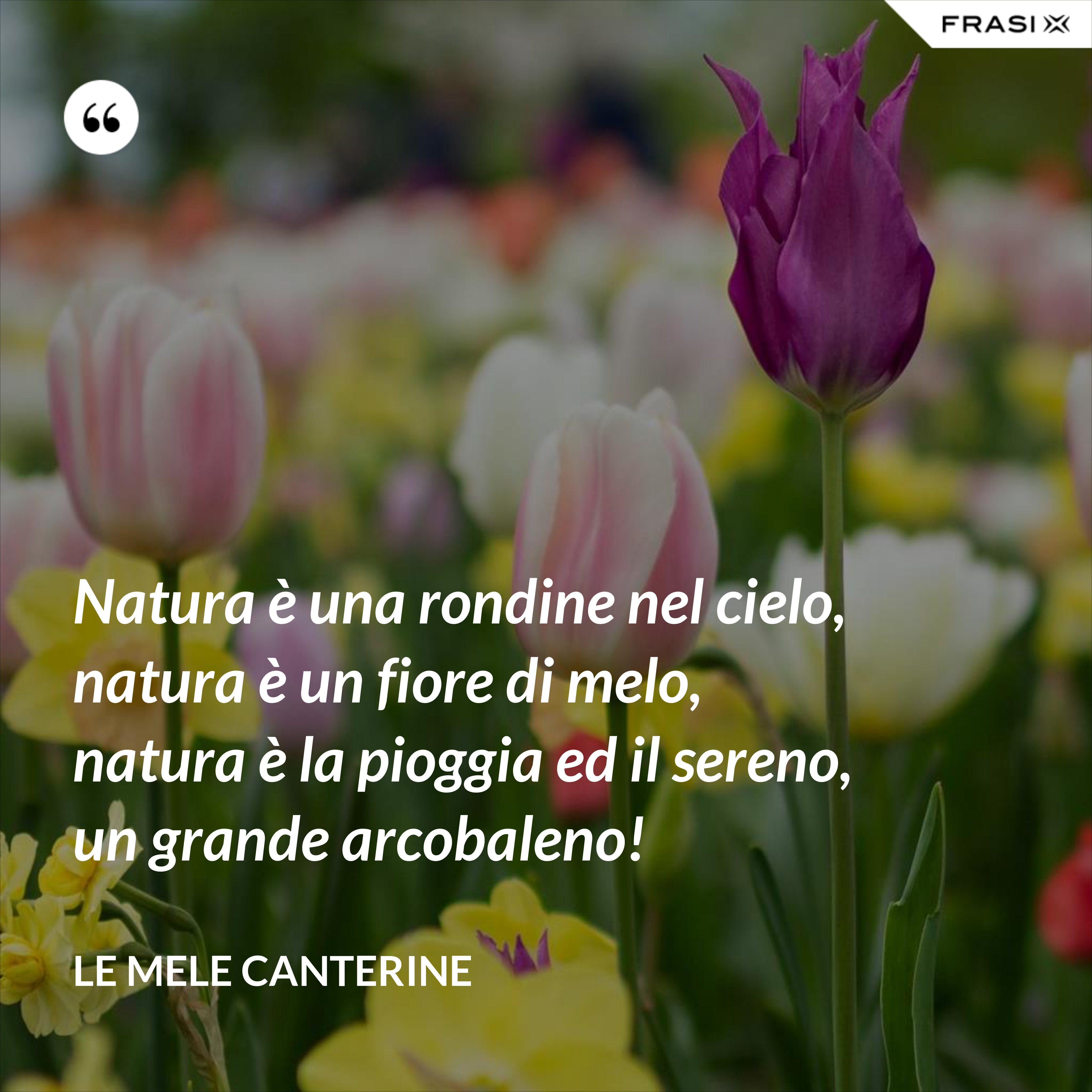 Natura è una rondine nel cielo, natura è un fiore di melo, natura è la pioggia ed il sereno, un grande arcobaleno! - Le mele canterine
