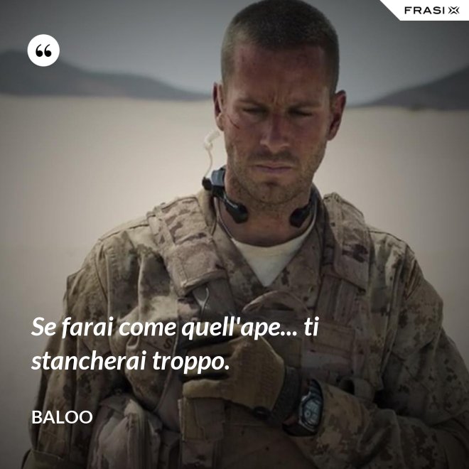Se farai come quell'ape... ti stancherai troppo. - Baloo