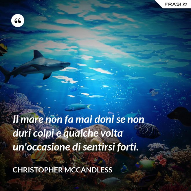 Il mare non fa mai doni se non duri colpi e qualche volta un'occasione di sentirsi forti. - Christopher McCandless