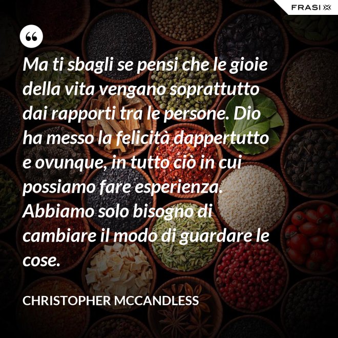 Ma ti sbagli se pensi che le gioie della vita vengano soprattutto dai rapporti tra le persone. Dio ha messo la felicità dappertutto e ovunque, in tutto ciò in cui possiamo fare esperienza. Abbiamo solo bisogno di cambiare il modo di guardare le cose. - Christopher McCandless