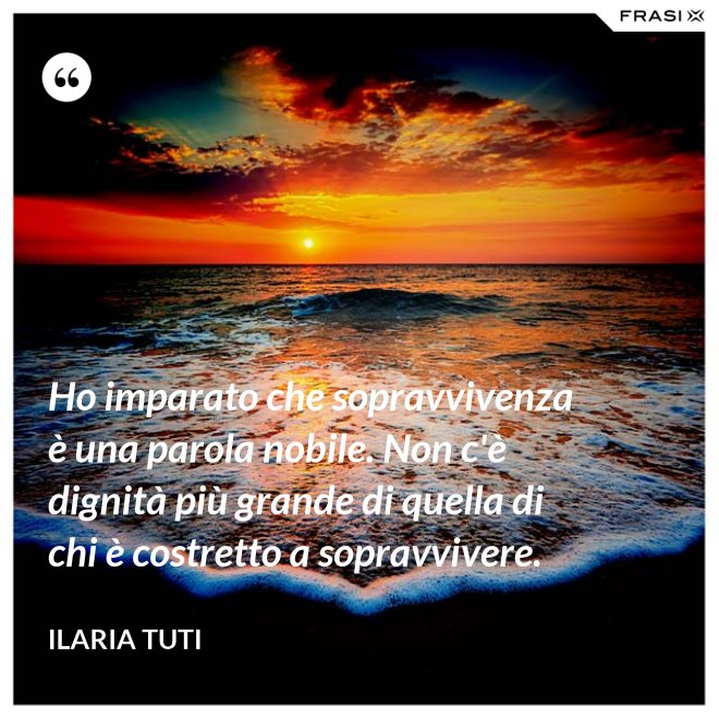 Ho imparato che sopravvivenza è una parola nobile. Non c'è dignità più grande di quella di chi è costretto a sopravvivere. - Ilaria Tuti