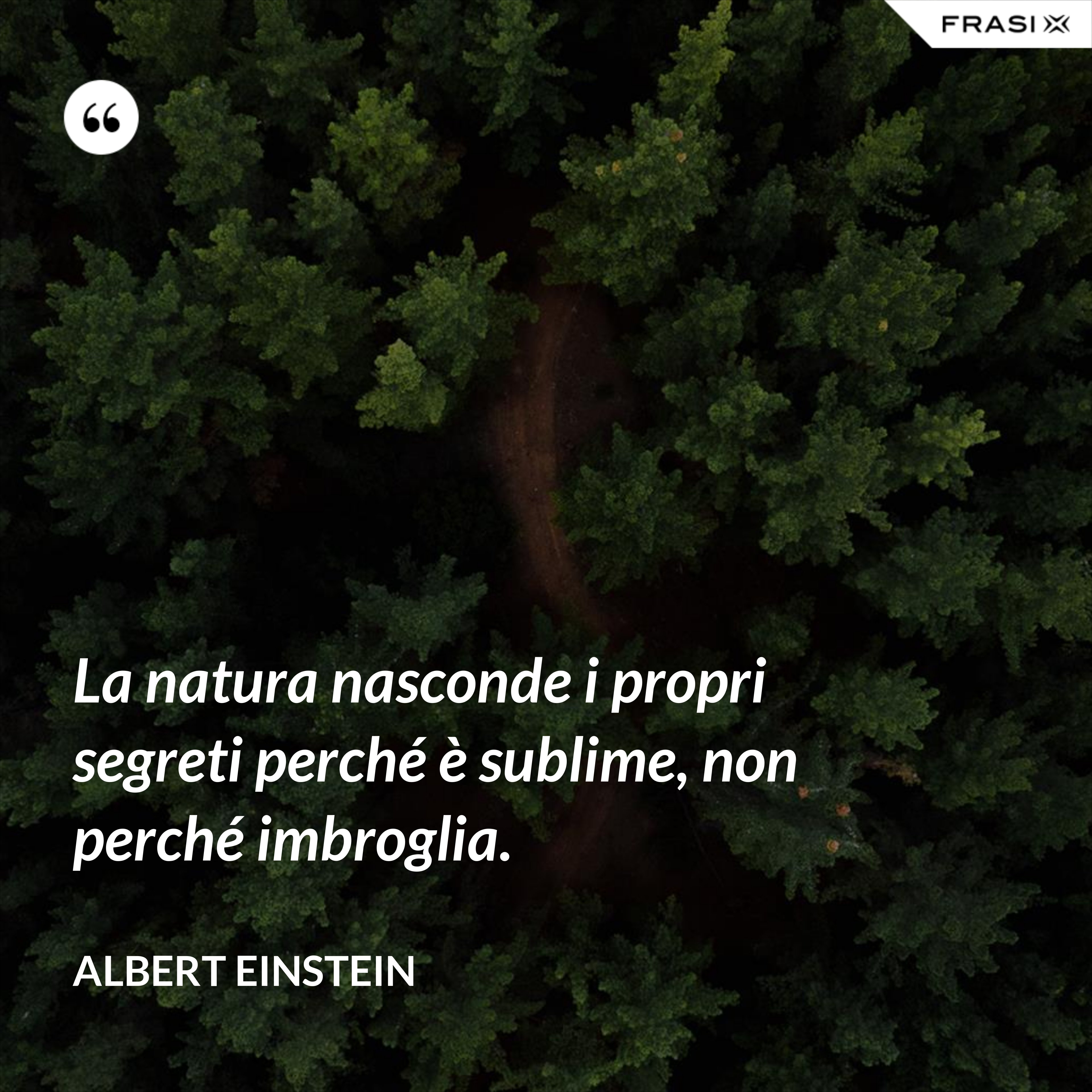 La natura nasconde i propri segreti perché è sublime, non perché imbroglia. - Albert Einstein