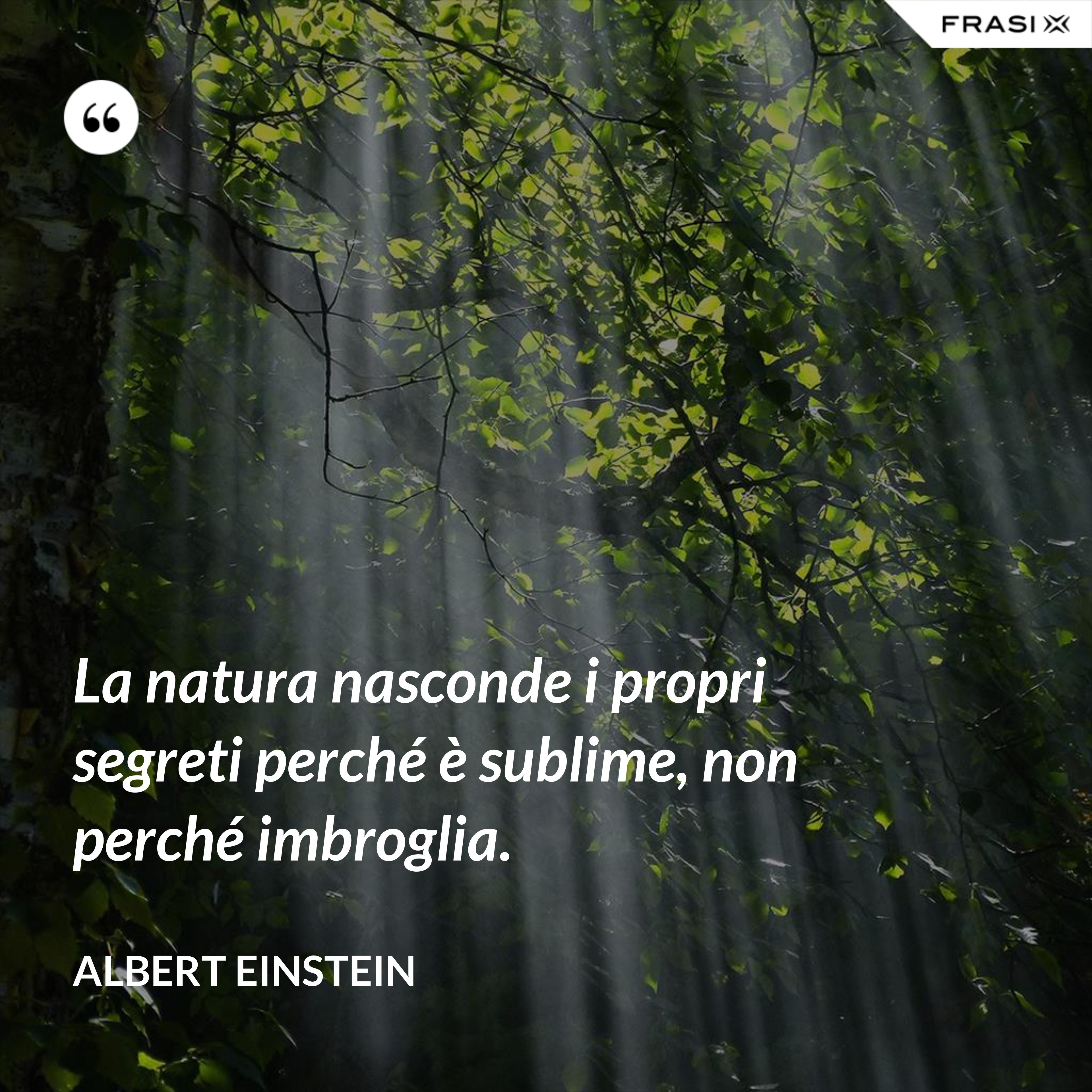 La natura nasconde i propri segreti perché è sublime, non perché imbroglia. - Albert Einstein