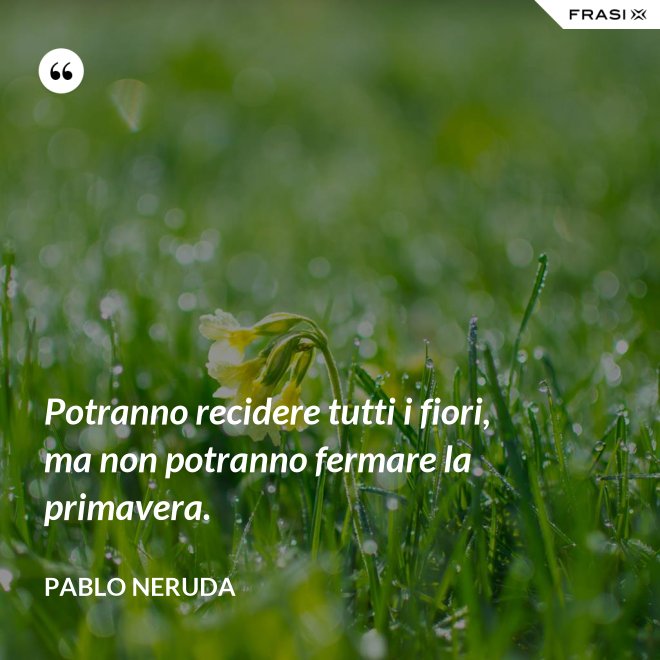 Potranno recidere tutti i fiori, ma non potranno fermare la primavera. - Pablo Neruda