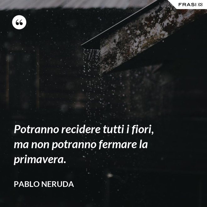 Potranno recidere tutti i fiori, ma non potranno fermare la primavera. - Pablo Neruda