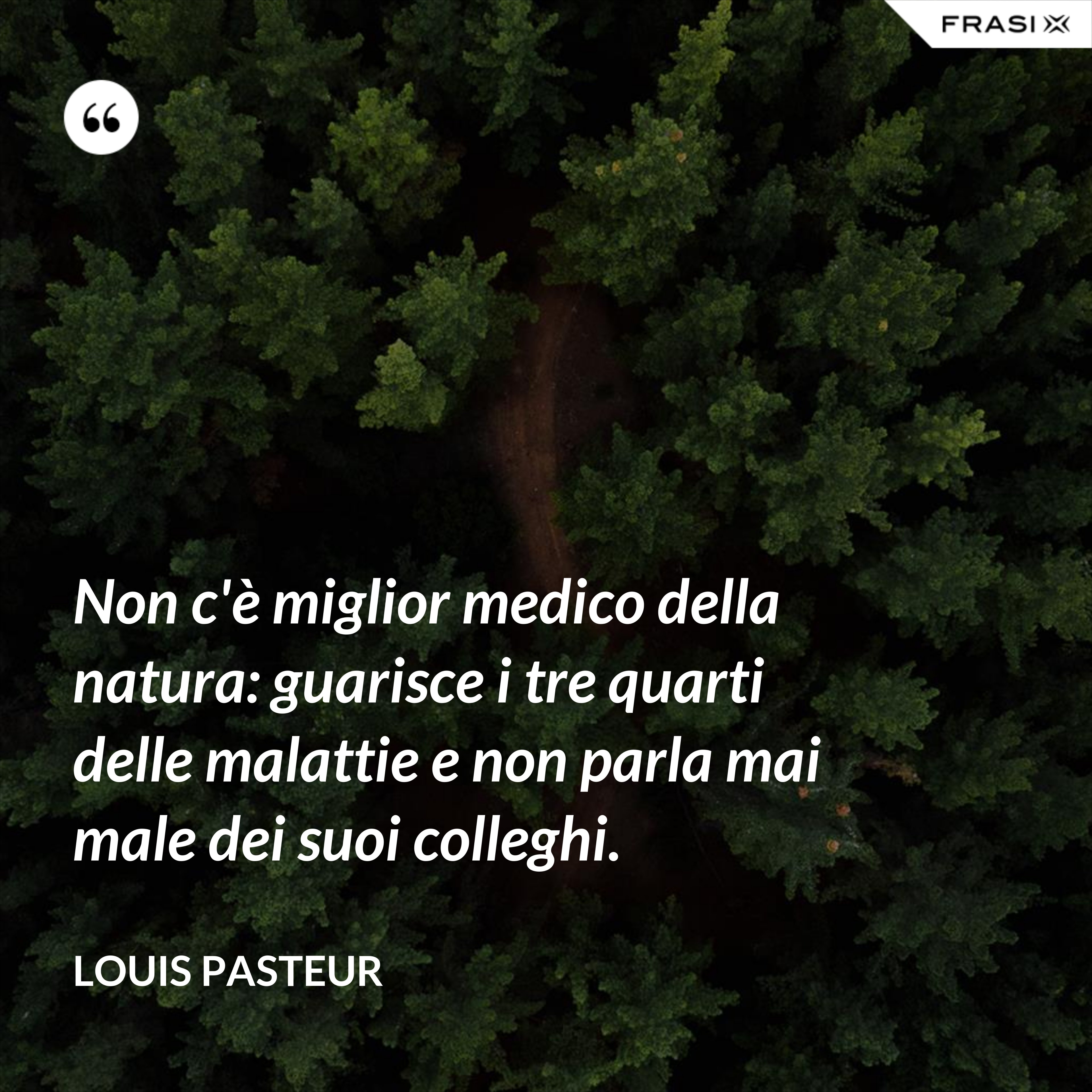 Non c'è miglior medico della natura: guarisce i tre quarti delle malattie e non parla mai male dei suoi colleghi. - Louis Pasteur