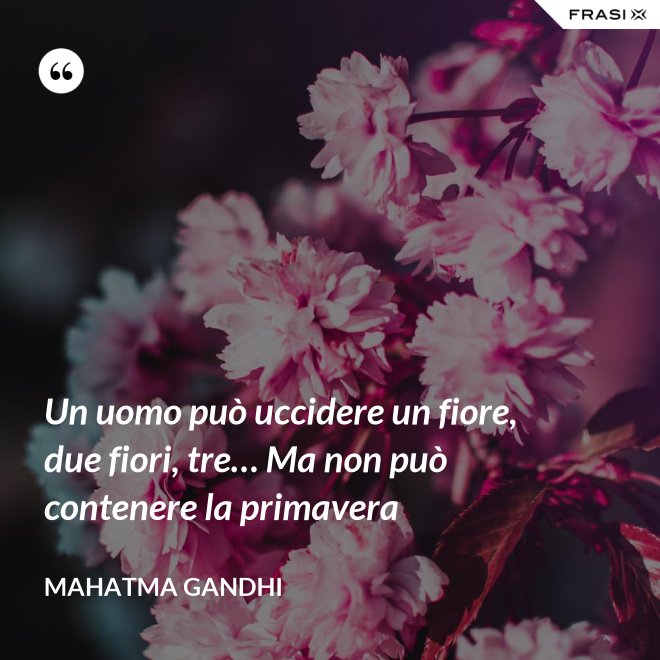 Un uomo può uccidere un fiore, due fiori, tre… Ma non può contenere la primavera - Mahatma Gandhi