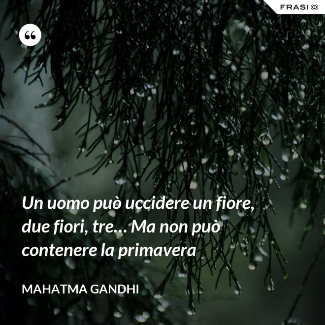 Un uomo può uccidere un fiore, due fiori, tre… Ma non può contenere la primavera - Mahatma Gandhi