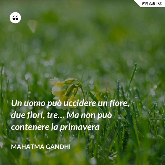 Un uomo può uccidere un fiore, due fiori, tre… Ma non può contenere la primavera - Mahatma Gandhi