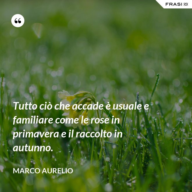 Tutto ciò che accade è usuale e familiare come le rose in primavera e il raccolto in autunno. - Marco Aurelio