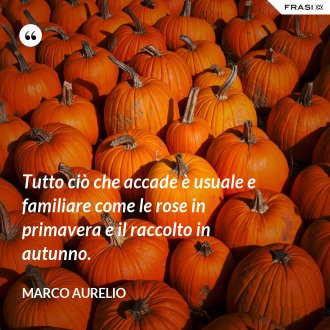 Tutto ciò che accade è usuale e familiare come le rose in primavera e il raccolto in autunno. - Marco Aurelio