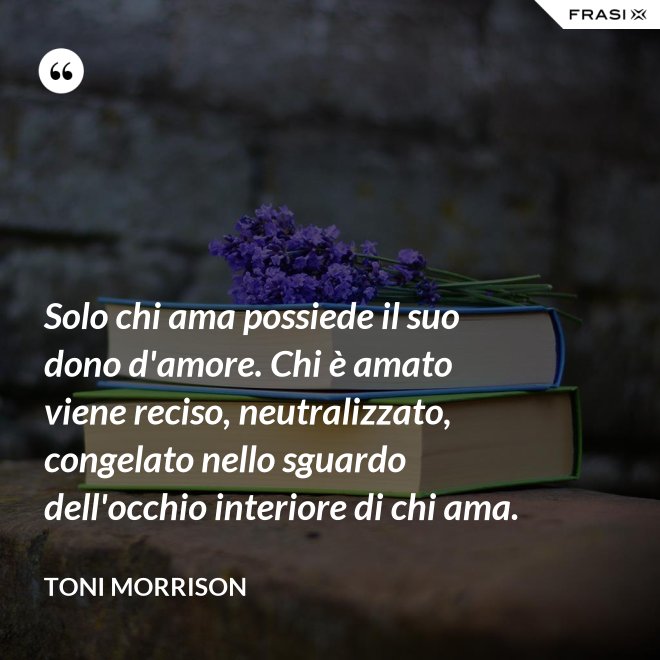 Solo chi ama possiede il suo dono d'amore. Chi è amato viene reciso, neutralizzato, congelato nello sguardo dell'occhio interiore di chi ama. - Toni Morrison