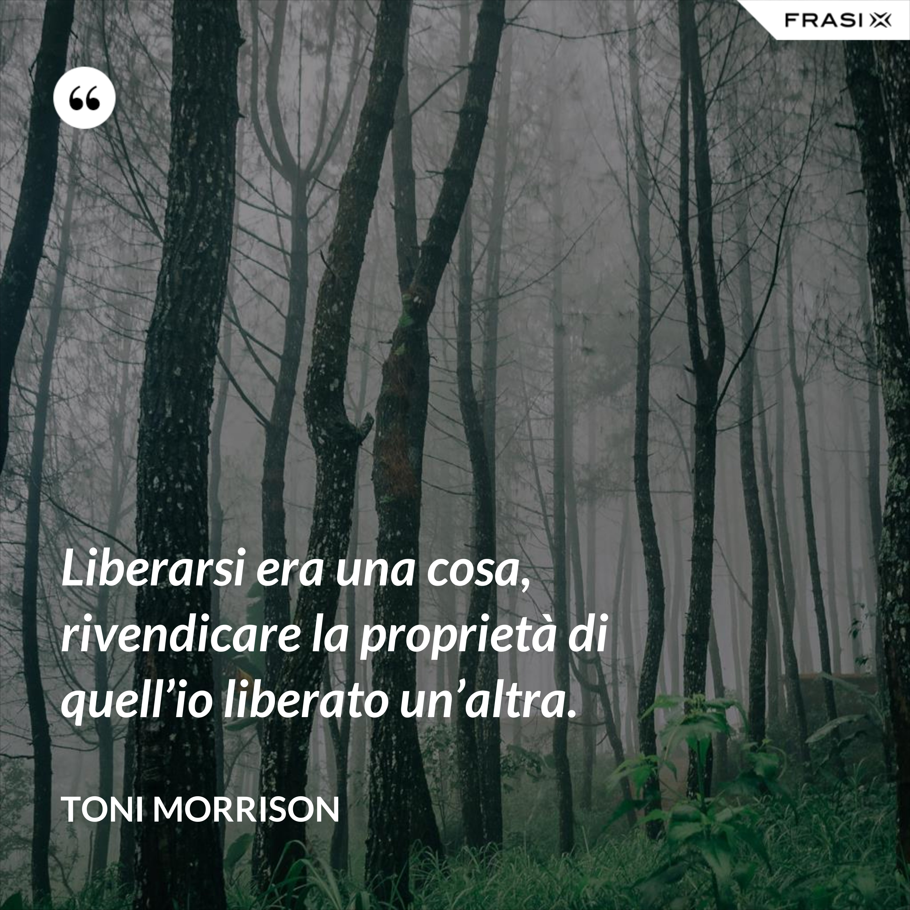 Liberarsi era una cosa, rivendicare la proprietà di quell’io liberato un’altra. - Toni Morrison