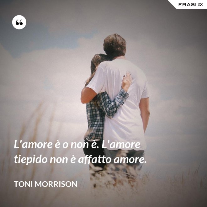 L'amore è o non è. L'amore tiepido non è affatto amore. - Toni Morrison