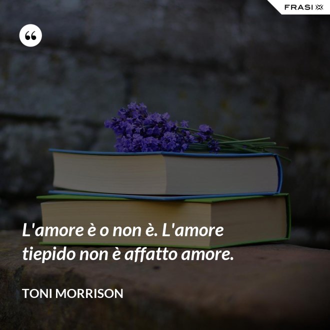 L'amore è o non è. L'amore tiepido non è affatto amore. - Toni Morrison