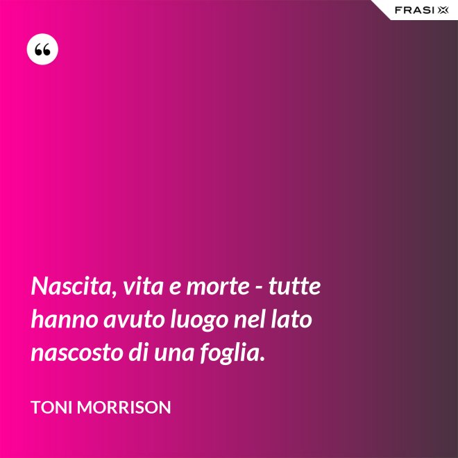 Nascita, vita e morte - tutte hanno avuto luogo nel lato nascosto di una foglia. - Toni Morrison