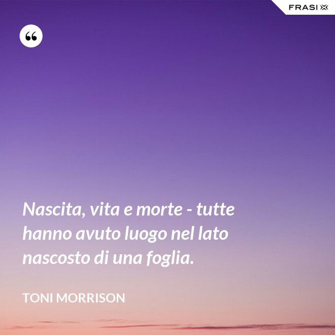 Nascita, vita e morte - tutte hanno avuto luogo nel lato nascosto di una foglia. - Toni Morrison