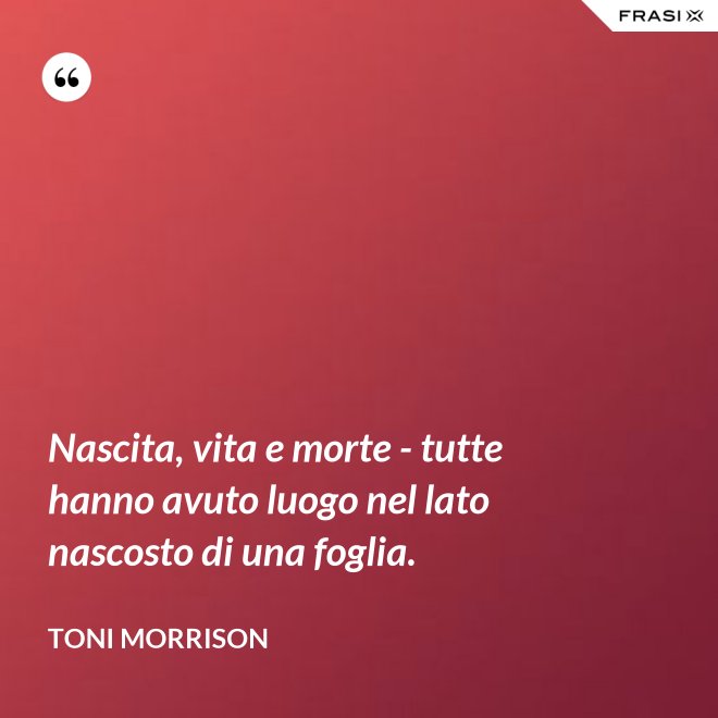 Nascita, vita e morte - tutte hanno avuto luogo nel lato nascosto di una foglia. - Toni Morrison