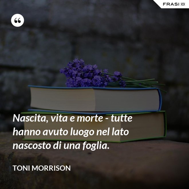 Nascita, vita e morte - tutte hanno avuto luogo nel lato nascosto di una foglia. - Toni Morrison