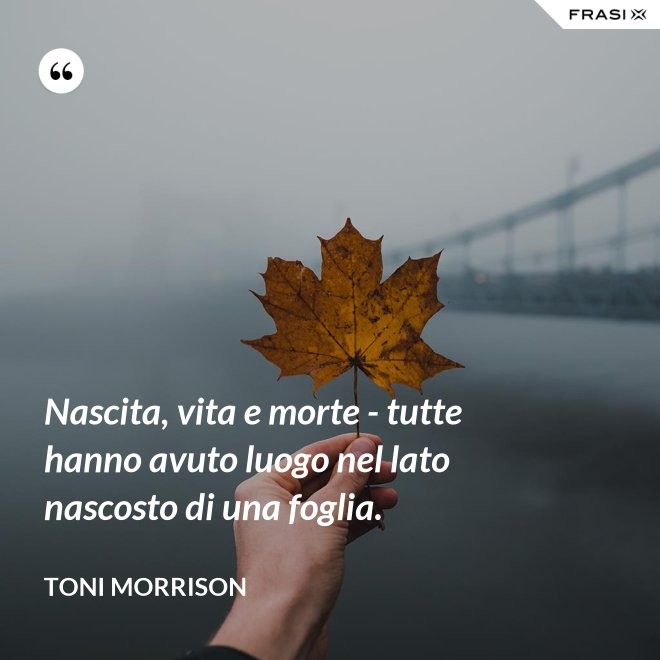 Nascita, vita e morte - tutte hanno avuto luogo nel lato nascosto di una foglia. - Toni Morrison