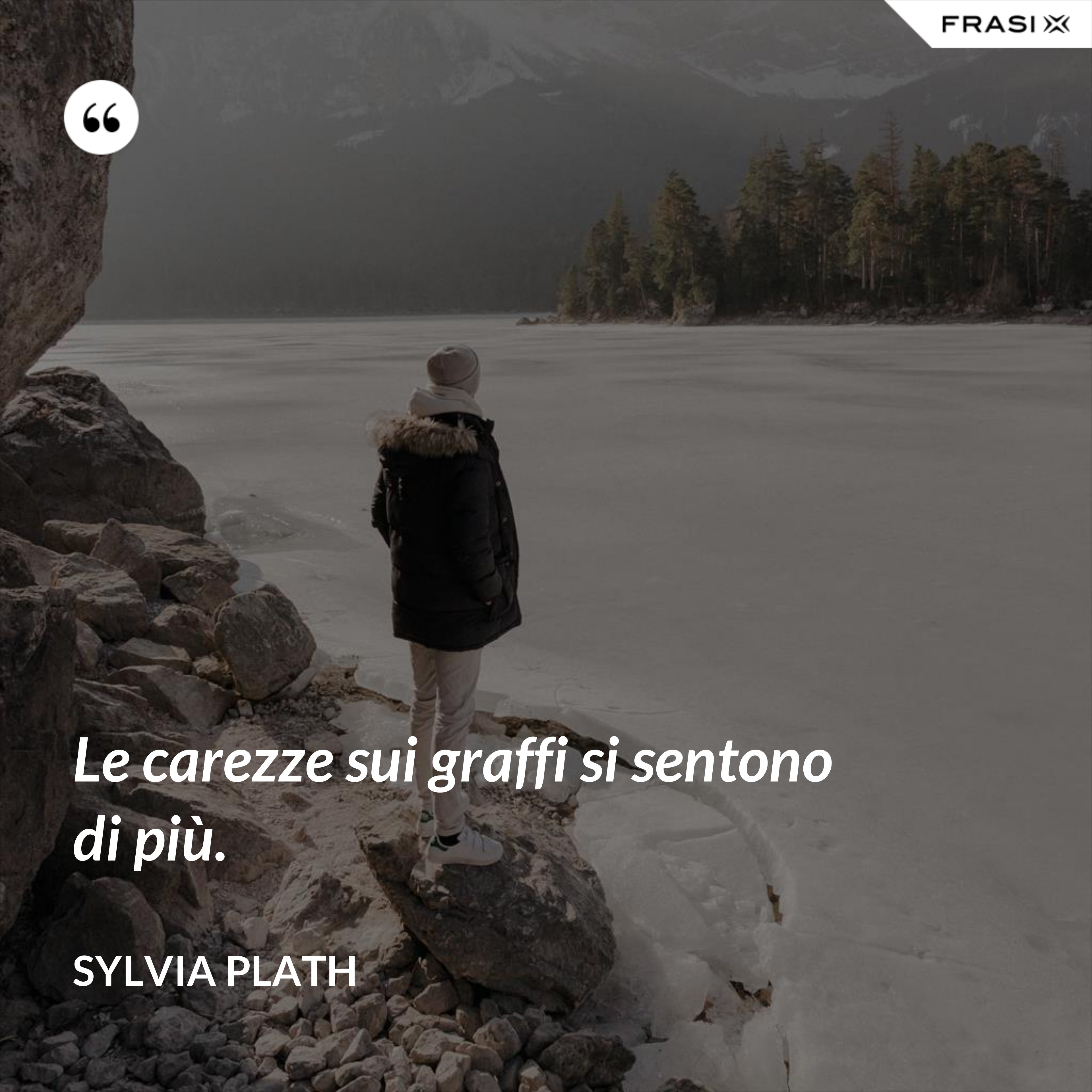Le carezze sui graffi si sentono di più. - Sylvia Plath