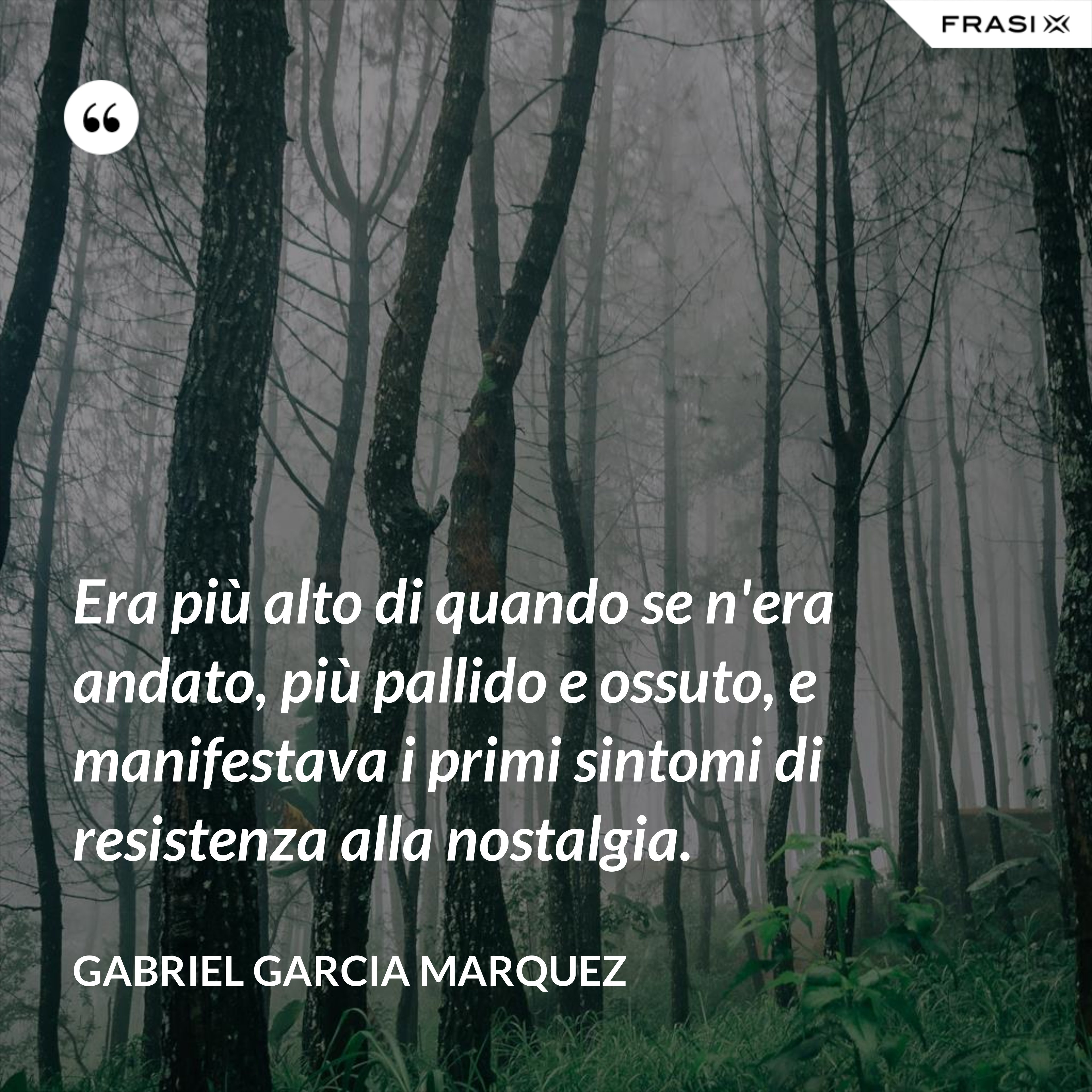 Era più alto di quando se n'era andato, più pallido e ossuto, e manifestava i primi sintomi di resistenza alla nostalgia. - Gabriel Garcia Marquez