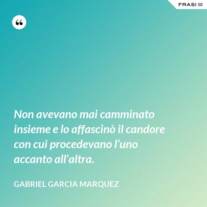 Non avevano mai camminato insieme e lo affascinò il candore con cui procedevano l’uno accanto all’altra. - Gabriel Garcia Marquez