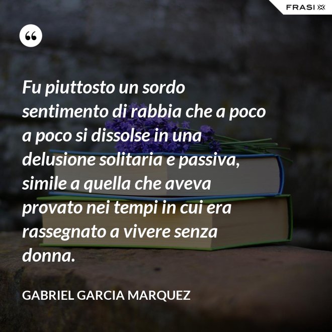 Fu piuttosto un sordo sentimento di rabbia che a poco a poco si dissolse in una delusione solitaria e passiva, simile a quella che aveva provato nei tempi in cui era rassegnato a vivere senza donna. - Gabriel Garcia Marquez