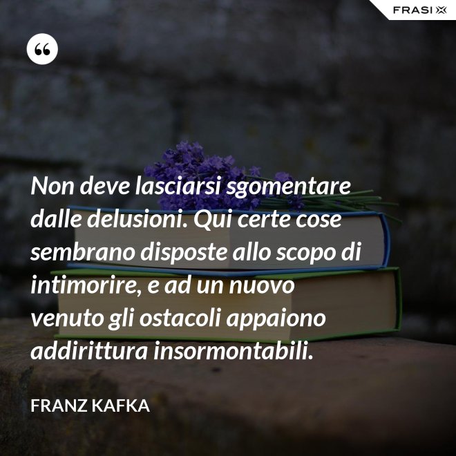 Non deve lasciarsi sgomentare dalle delusioni. Qui certe cose sembrano disposte allo scopo di intimorire, e ad un nuovo venuto gli ostacoli appaiono addirittura insormontabili. - Franz Kafka