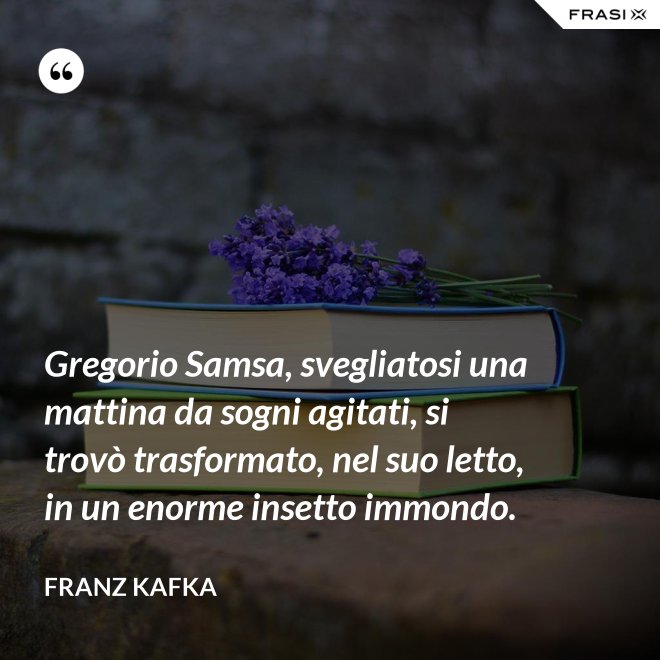 Gregorio Samsa, svegliatosi una mattina da sogni agitati, si trovò trasformato, nel suo letto, in un enorme insetto immondo. - Franz Kafka