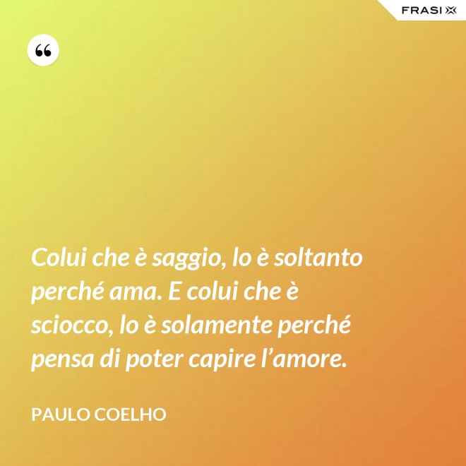 Colui che è saggio, lo è soltanto perché ama. E colui che è sciocco, lo è solamente perché pensa di poter capire l’amore. - Paulo Coelho