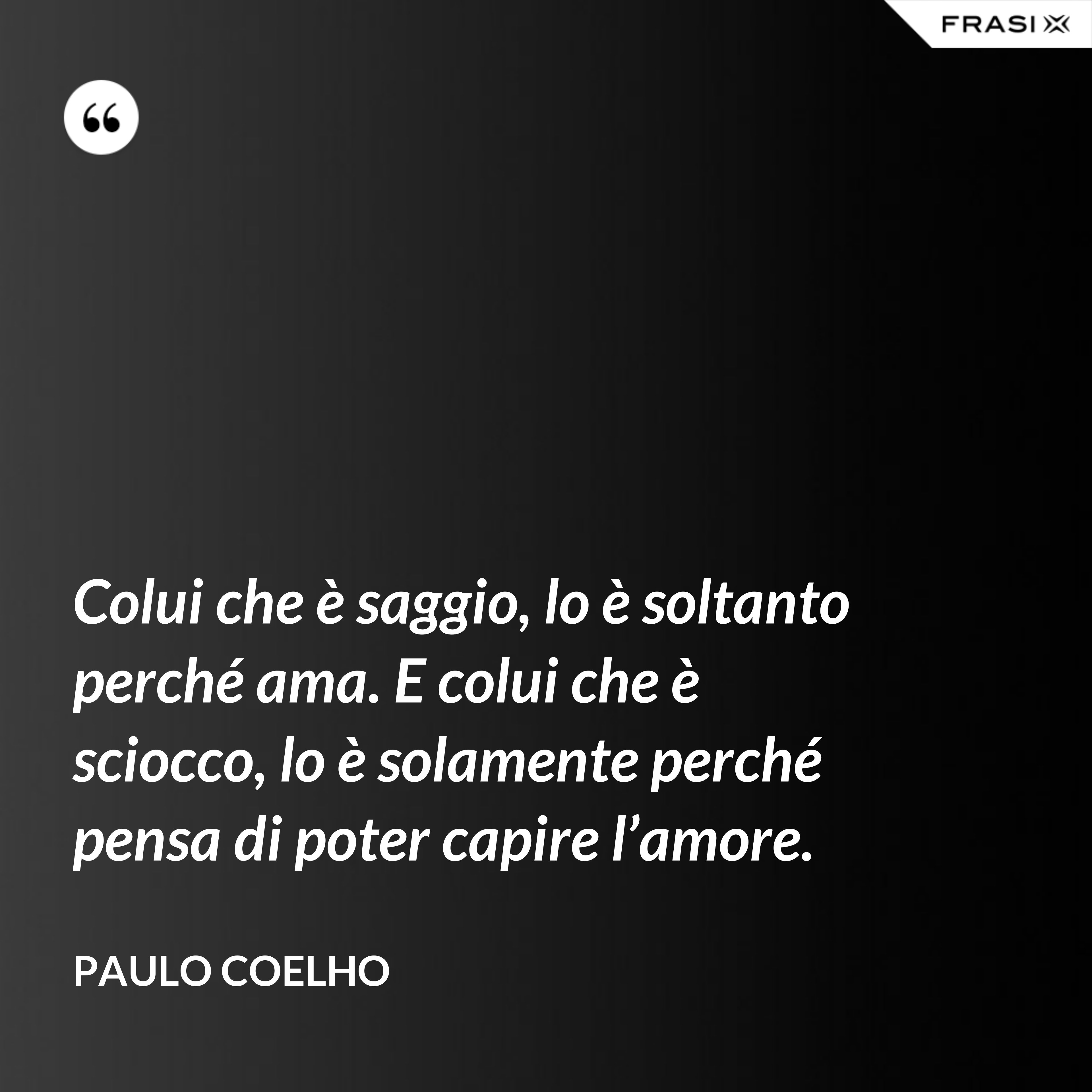 Colui che è saggio, lo è soltanto perché ama. E colui che è sciocco, lo è solamente perché pensa di poter capire l’amore. - Paulo Coelho