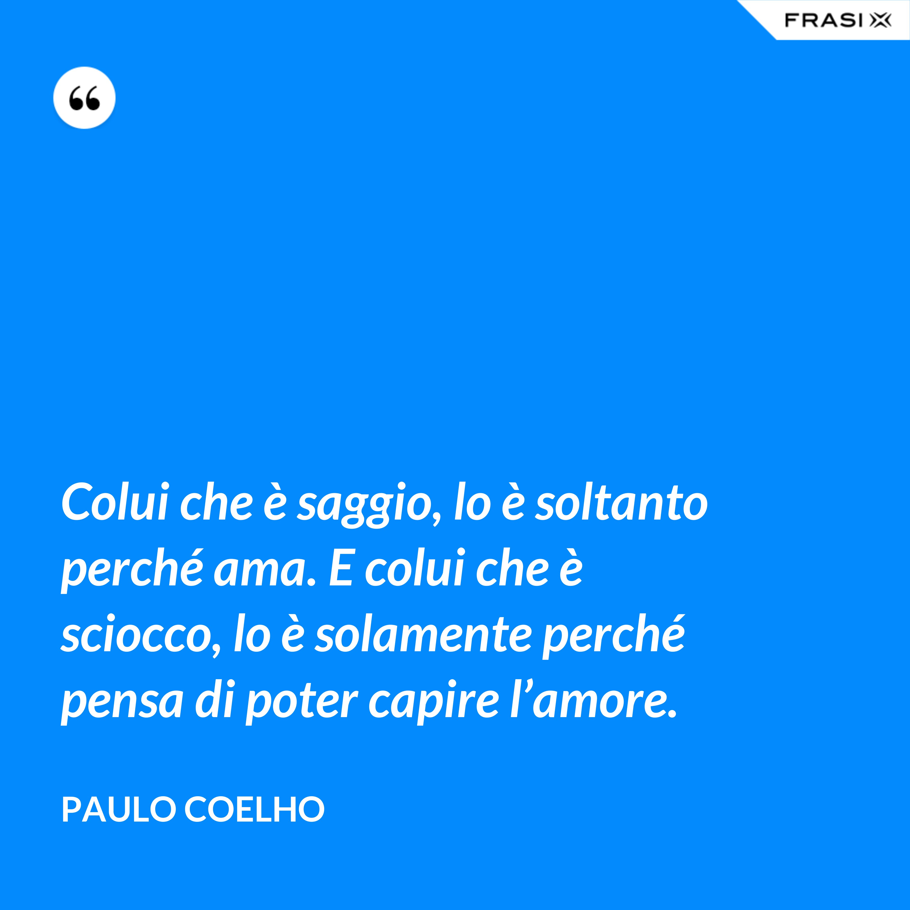 Colui che è saggio, lo è soltanto perché ama. E colui che è sciocco, lo è solamente perché pensa di poter capire l’amore. - Paulo Coelho