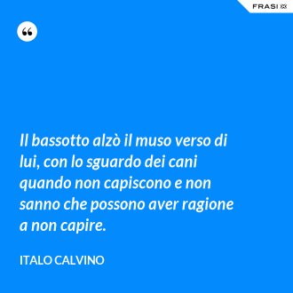 Il bassotto alzò il muso verso di lui, con lo sguardo dei cani quando non capiscono e non sanno che possono aver ragione a non capire. - Italo Calvino