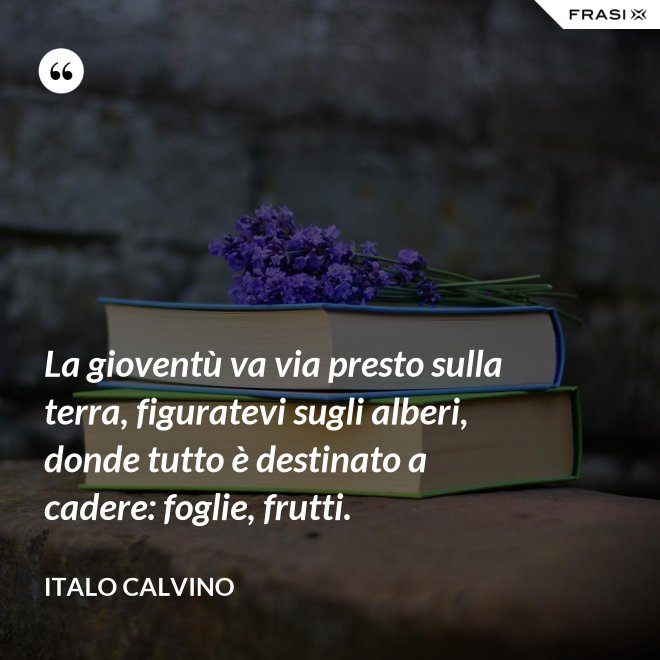 La gioventù va via presto sulla terra, figuratevi sugli alberi, donde tutto è destinato a cadere: foglie, frutti. - Italo Calvino